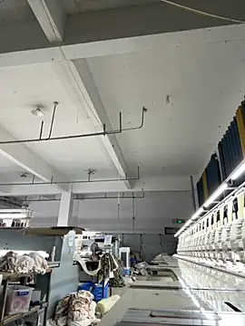 coco-o online show from 29, 9, 2025