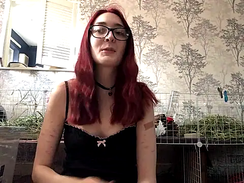 ivysplayhouse online show from 10, 9, 2025