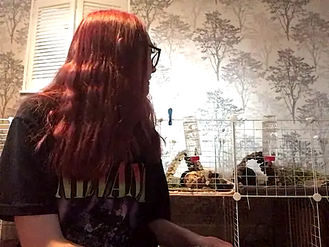 ivysplayhouse online show from 12, 9, 2025
