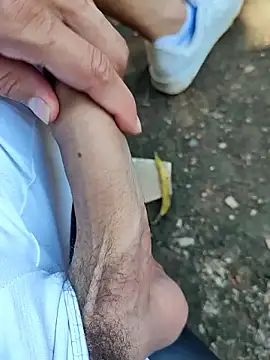 Master pigdirty online show from 19, 9, 2025