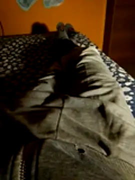 Snapshot of FlavioExpress chatting on 8, 11, 2025 FlavioExpress online show from 8, 11, 2025