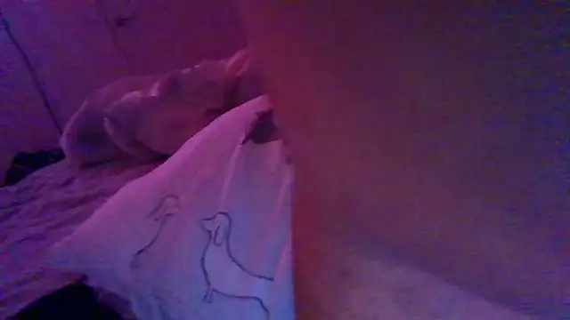 Shy straightguy online show from 24, 11, 2025