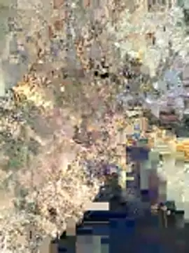 sexy boy 47 online show from 12, 2, 2026