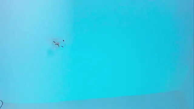 Im naho online show from 19, 11, 2025