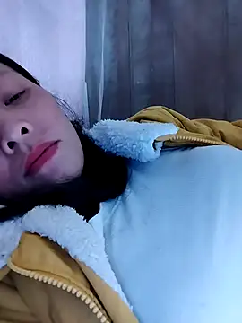 Sinejdk3 online show from 11, 11, 2025