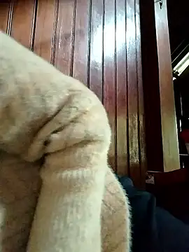 Sinejdk3 online show from 19, 1, 2026