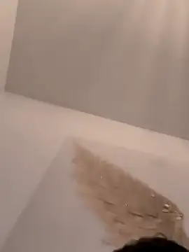 purofuego6 online show from 8, 11, 2025