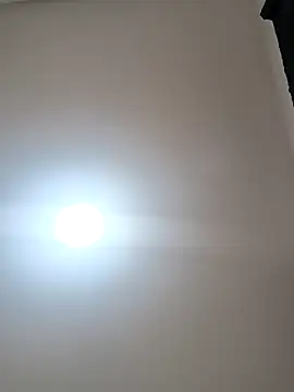 butterfly777  online show from 4, 2, 2026