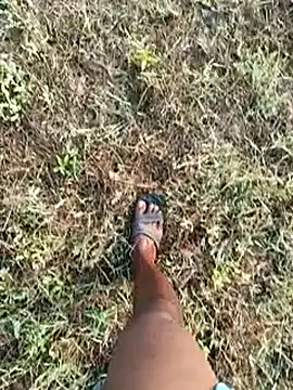 dolphiinn online show from 8, 3, 2026