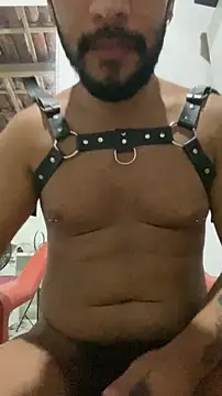 spiderfindom online show from 4, 11, 2025