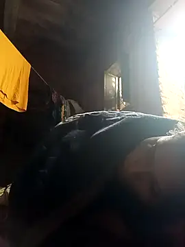 cute diya 12 online show from 19, 2, 2026