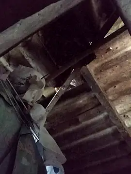 Snapshot of _Helala_ chatting on 21, 10, 2025 Helala online show from 21, 10, 2025