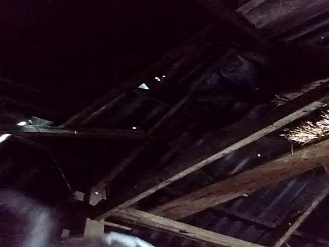 Snapshot of _Helala_ chatting on 25, 10, 2025 Helala online show from 25, 10, 2025