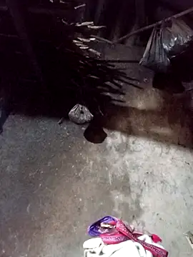 Snapshot of _Helala_ chatting on 21, 11, 2025 Helala online show from 21, 11, 2025