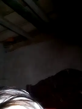 misa 00 online show from 24, 2, 2026