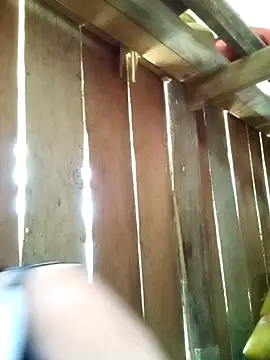 misa 00 online show from 6, 4, 2026