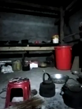 venu00 online show from 8, 2, 2026