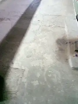 boyraj28 online show from 5, 3, 2026