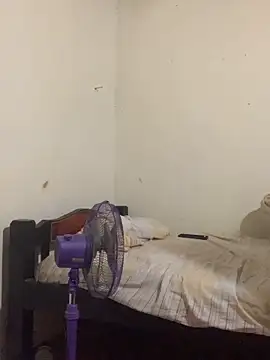 AE 03 online show from 12, 2, 2026