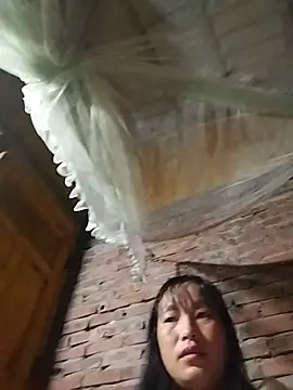 miss-su online show from 5, 11, 2025