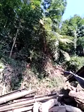 miss-su online show from 5, 2, 2026