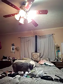 mresquared online show from 25, 3, 2026