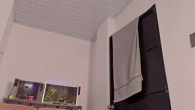 Cj davis  online show from 3, 12, 2025