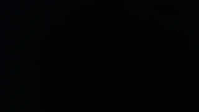 knodli online show from 16, 11, 2025