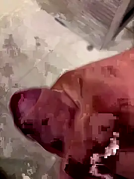 123plmnbvcxz online show from 29, 9, 2025