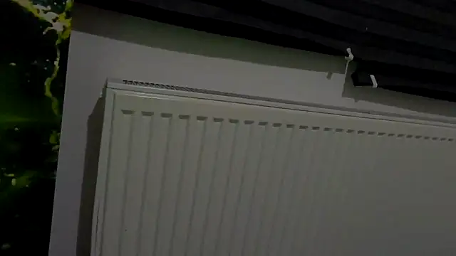 Snapshot of welcome-to-the-jungle chatting on 24, 2, 2026 welcome-to-the-jungle online show from 24, 2, 2026