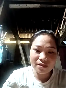 Milan6789 online show from 5, 10, 2025