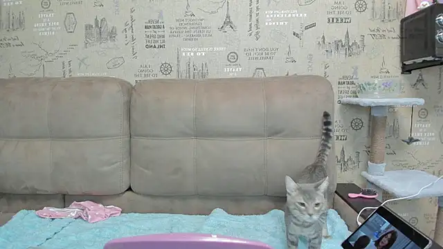 Kelly Gerzikaa online show from 29, 11, 2025