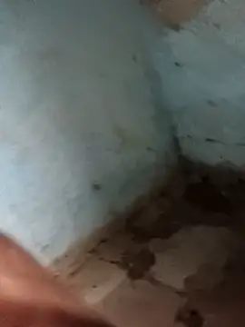 Sheema tyagi online show from 11, 11, 2025