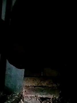 Snapshot of NegroArg_22 chatting on 2, 10, 2025 NegroArg 22 online show from 2, 10, 2025