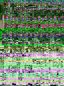 O o UwU o O online show from 18, 12, 2025