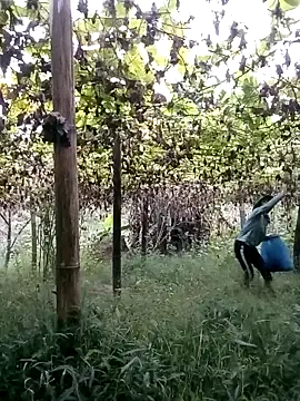 Snapshot of ngan-cute chatting on 22, 10, 2025 ngan-cute online show from 22, 10, 2025