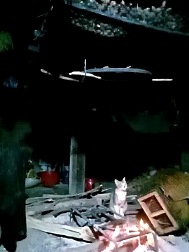 Snapshot of ngan-cute chatting on 17, 11, 2025 ngan-cute online show from 17, 11, 2025