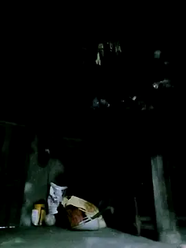 Snapshot of ngan-cute chatting on 16, 12, 2025 ngan-cute online show from 16, 12, 2025