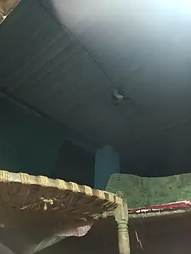 Hot-honi online show from 10, 11, 2025