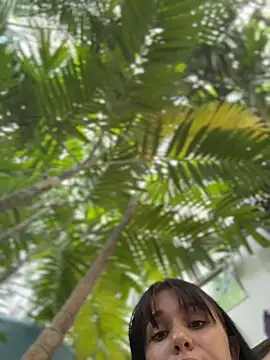 VendiMur online show from 22, 3, 2026