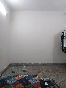 7incpink online show from 29, 7, 2026