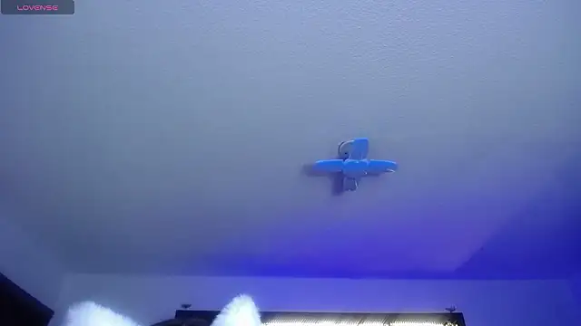  Charlotte Collins  online show from 17, 2, 2026