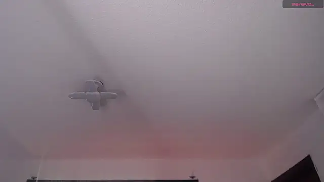  Charlotte Collins  online show from 22, 3, 2026