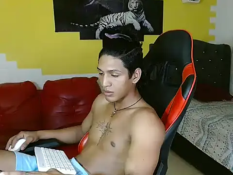 bull cam online show from 29, 11, 2025