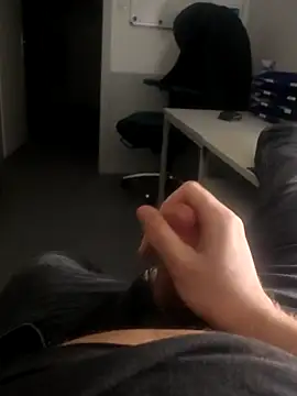 stunning stallion online show from 15, 1, 2026