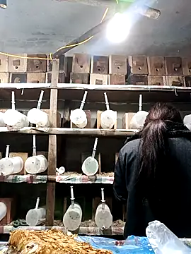 AnHa19 online show from 14, 3, 2026