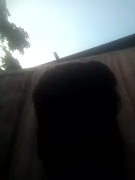 parmila203 online show from 11, 1, 2026