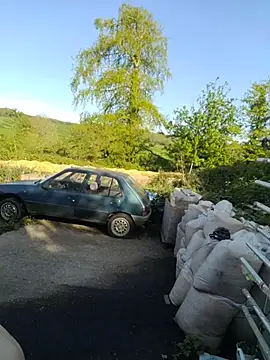 phil4fun4 online show from 29, 4, 2026