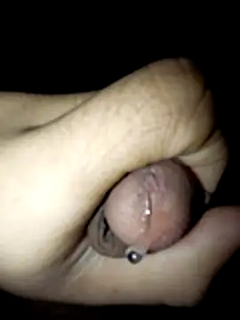 Exotic19cm online show from 10, 3, 2026