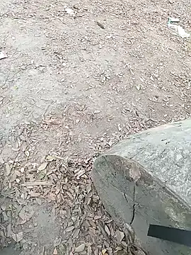 Dasdhon online show from 18, 11, 2025